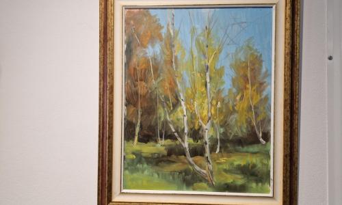 Slikarska razstava »pogled skozi prizmo paraplegikov« v Kulturnem centru Semič.