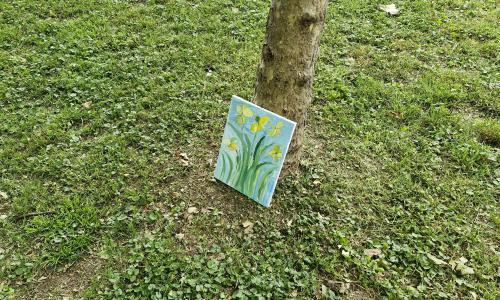 Ustvarjalno srečanje v sliki in besedi