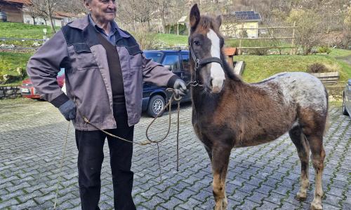 Likovna kolonija »Belokranjska zima 2026«