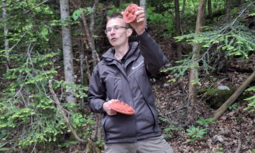 Inplaninci ob 50-letnici Evropske pešpoti E6 na Mašunu