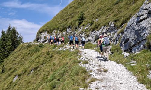 Skupaj v hribe: Soriška planina