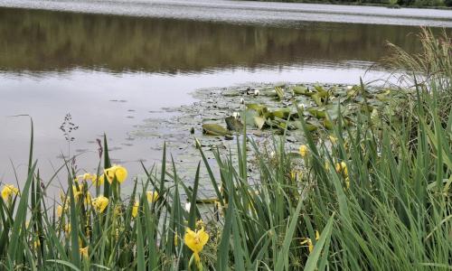 GOGO pohod na Goričkem
